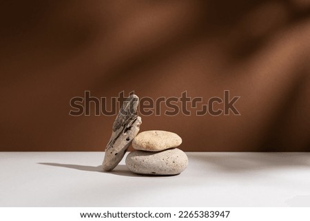 Empty stone podium with lights and shadows on brown background. Minimal backdrop. Round natural rock and piece of driftwood. Abstract pedestal or showcase for presentation. Minimal wabi sabi concept.