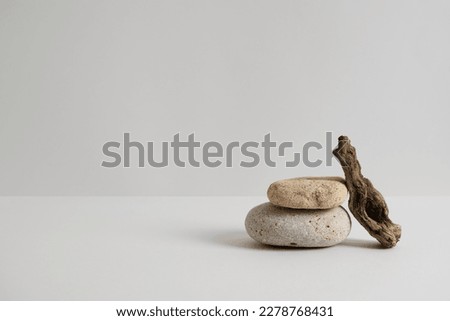 Empty stone podium, piece of driftwood on grey background. Minimal eco backdrop. Two round natural rocks and branch. Pedestal for beauty spa advertising. Wabi sabi concept. Copy space, front view.