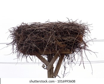 empty stork's nest, empty nest waiting for the storks to come in spring,