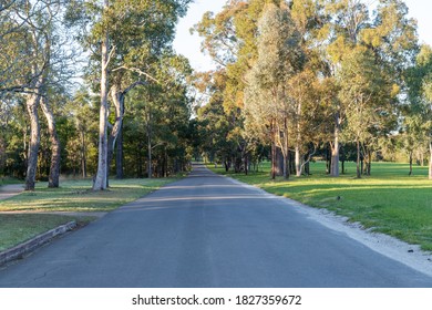 Empty Street Between Trees In Parramatta Park.