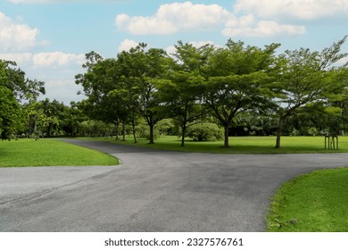 Empty street, green city park with blue sky. Pathway and beautiful trees track for running or walking and cycling relax in park on green grass field on the side. Sunlight and flare background concept - Powered by Shutterstock