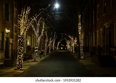 Empty Street At Night. Christmas Lighting Decoration On Trees. Row Of Trees