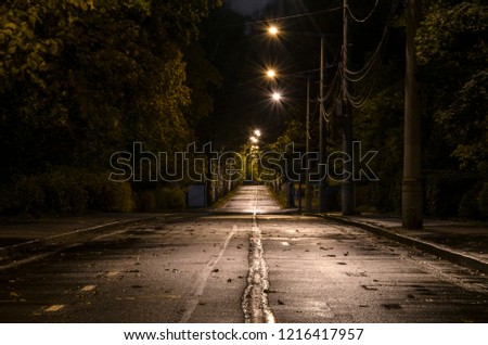 Empty street at night. City lights