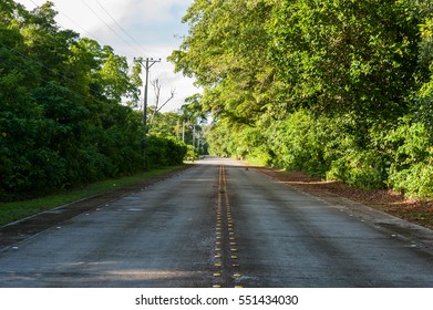 27,633 Jungle street Images, Stock Photos & Vectors | Shutterstock