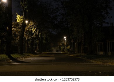 Empty Street In The Suburb During Night