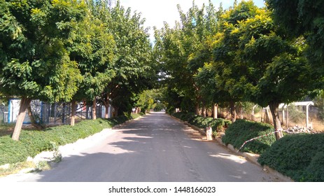 an empty street with trees