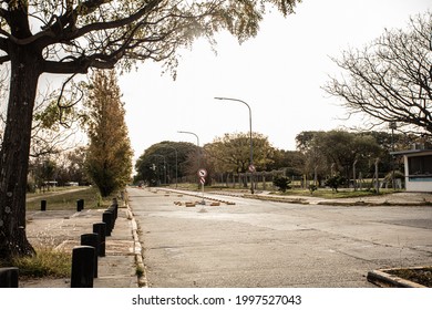 empty street with trees and forest