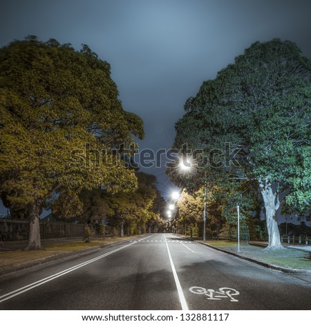 An Empty stretch of tree-lined road with a bicycle lane at night - Princes Park Drive in the Melbourne suburb of Carlton, Australia; a popular jogging strip bordering Melbourne Cemetery and parkland.
