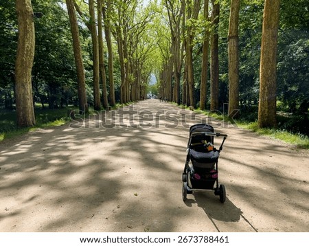 Empty stroller standing on a path between tall trees, in the park of Chenonceaux Castle, Indre et Loire, Centre Val de Loire, France