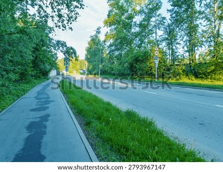 Empty suburban roadway bordered by a paved sidewalk and grassy verge, flanked by tall deciduous trees and dense foliage. Soft morning light illuminates the
