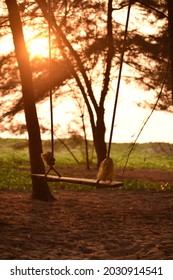 Empty swing on a beach side during sunset