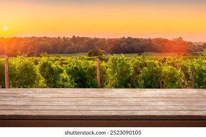 Empty table close up with blurred background nature vineyards. Presentation mockup,