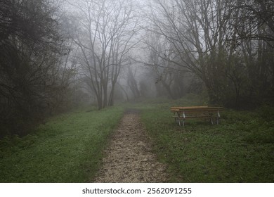 Empty table in a small clearing by the edge of a trail in a forest on a foggy day in the italian countryside