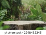 empty table top wooden counter podium in outdoor tropical garden forest blurred green plant background with space.organic product present natural placement pedestal display,spring and summer concept.