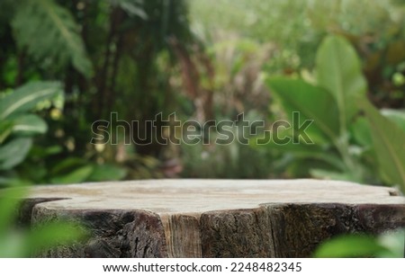 empty table top wooden counter podium in outdoor tropical garden forest blurred green plant background with space.organic product present natural placement pedestal display,spring and summer concept.