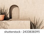 Empty texture stucco wall with shade and aloe clay pot. Summer background with traditional home exterior. Architecture design with neutral rustic aesthetic.