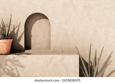 Empty texture stucco wall with shade and aloe clay pot. Summer background with traditional home exterior. Architecture design with neutral rustic aesthetic.