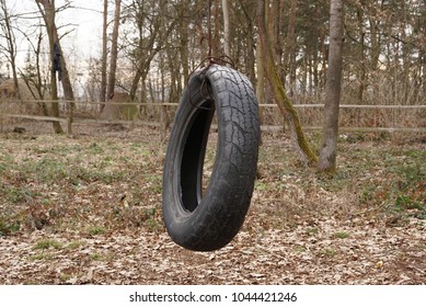 Empty Tire Swing                                