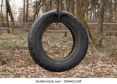 Empty Tire Swing                                