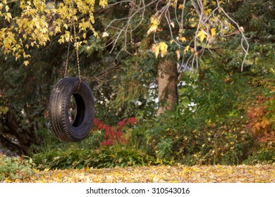 Empty Tire Swing In Autumn