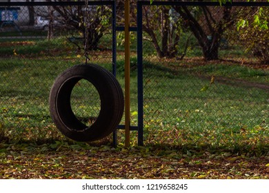 Empty Tire Swing In The Park