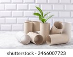 Empty toilet paper roll. Empty toilet paper rolls and plant for on white background. Paper tube of toilet paper. Place for text. Copy space. Flat lay. Eco-friendly reuse recycle