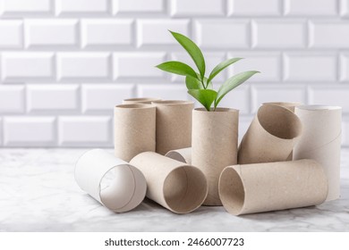 Empty toilet paper roll. Empty toilet paper rolls and plant for on white background. Paper tube of toilet paper. Place for text. Copy space. Flat lay. Eco-friendly reuse recycle