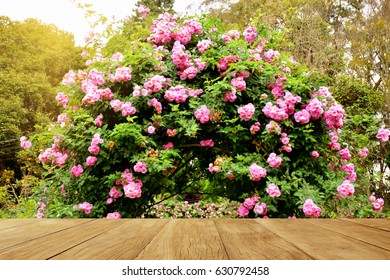 Empty Top Wooden Table On Rose Garden In Park