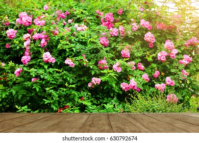 Empty Top Wooden Table On Rose Garden In Park