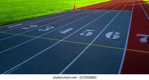 Track And Field Numbers