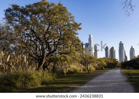 Empty Trail at the Buenos Aires Ecological Reserve with a View of the Modern City Skyline