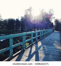 Empty Trail In Canning River Park, Perth.