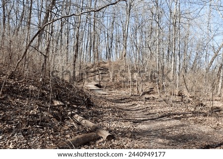 The empty trail in the woods on a sunny day.