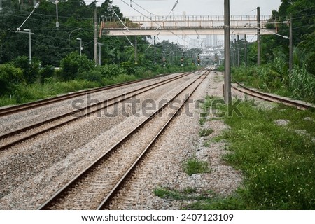 Empty train tracks with active railway signals in the distant, trees and vegetation at the sides.