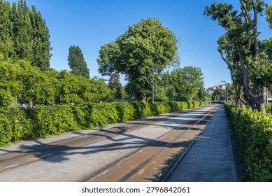 Empty tramway tracks running through a lush green public park under a clear blue sky. Modern urban public transit infrastructure and sustainable transportation concept.