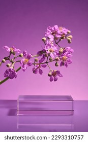 An empty transparent podium in rectangle shape displayed with a purple flowers branch. Minimalist mockup for podium display or showcase