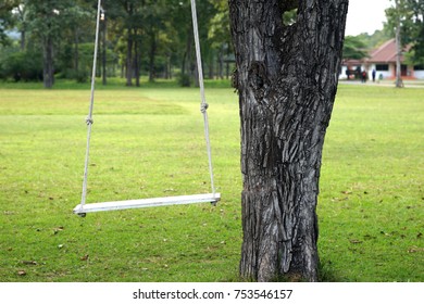 empty tree swing placed in the garden