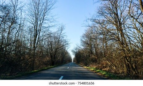 The Empty Trees