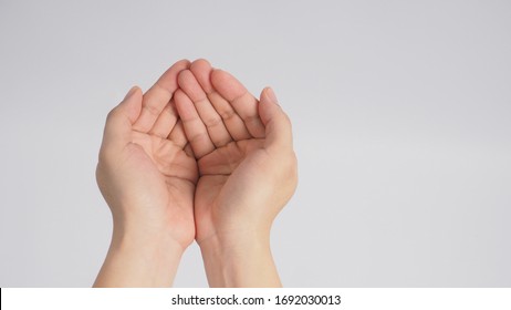 Empty Two Hands On White Background.