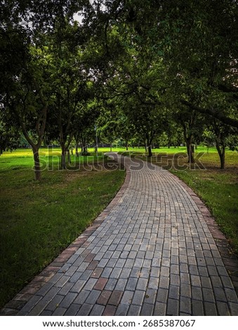 The Empty vertical jogging and running red outdoor track with green plants and tree