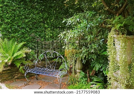Empty vintage wrought iron bench in an evergreen plants garden