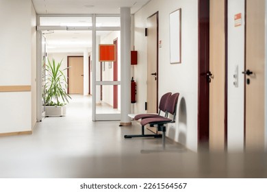 empty waiting room in a clinic or hospital, corridor or hallway with green plant - Powered by Shutterstock