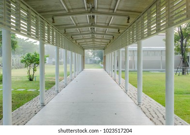 Empty Walkway, White, Nature, Green Tree