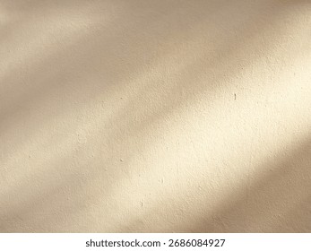 The empty wall and the shadow of the tree.