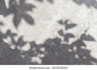 Empty wall surface with leaves shadows and sunlight. Cozy top view empty copy space close up concrete table surface mock up background for text and design. Wall with shadows. Abstract wall background