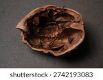 Empty walnut shell half on dark background, close-up, textured interior and cracked edges, natural brown tones, minimal composition