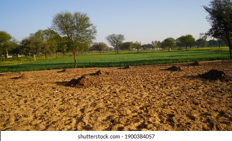 Empty Waste Land View Without Crops And Seed. Barren Field View Without Crop Because Of Farmer Protest.