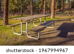 An empty, well worn picnic table is sitting on a small patch of grass and is surrounded by tall trees.  Shot at sunset with lots of golden light and long shadows.