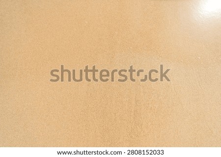 empty wet sand beach, view from above, copyspace banner