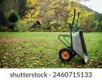 An empty wheelbarrow, garden cart in an autumn garden, against a background of trees and a lot of fallen dry yellow leaves with copy space. Seasonal gardening, plant care, gardening and farm tools.